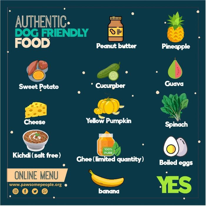 Foods that are safe for dogs to eat