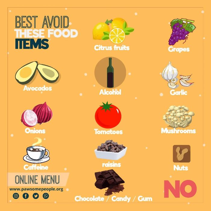 Foods that are unsafe for dogs to eat